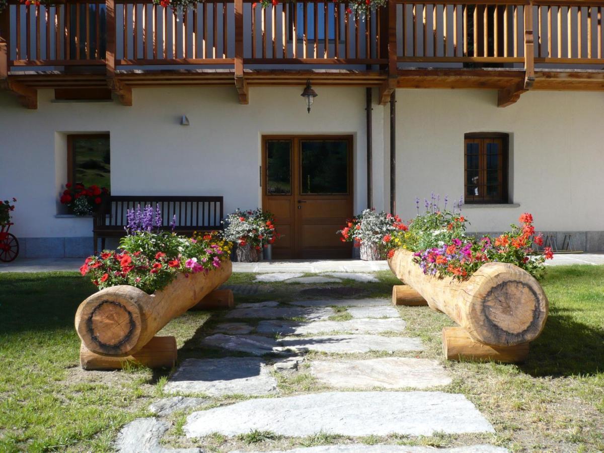 Bed and Breakfast Drésalwoald Gressoney-Saint-Jean Exterior foto