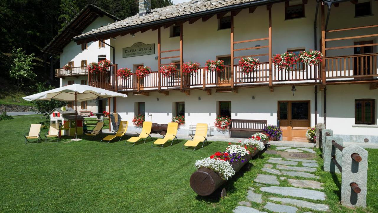 Bed and Breakfast Drésalwoald Gressoney-Saint-Jean Exterior foto