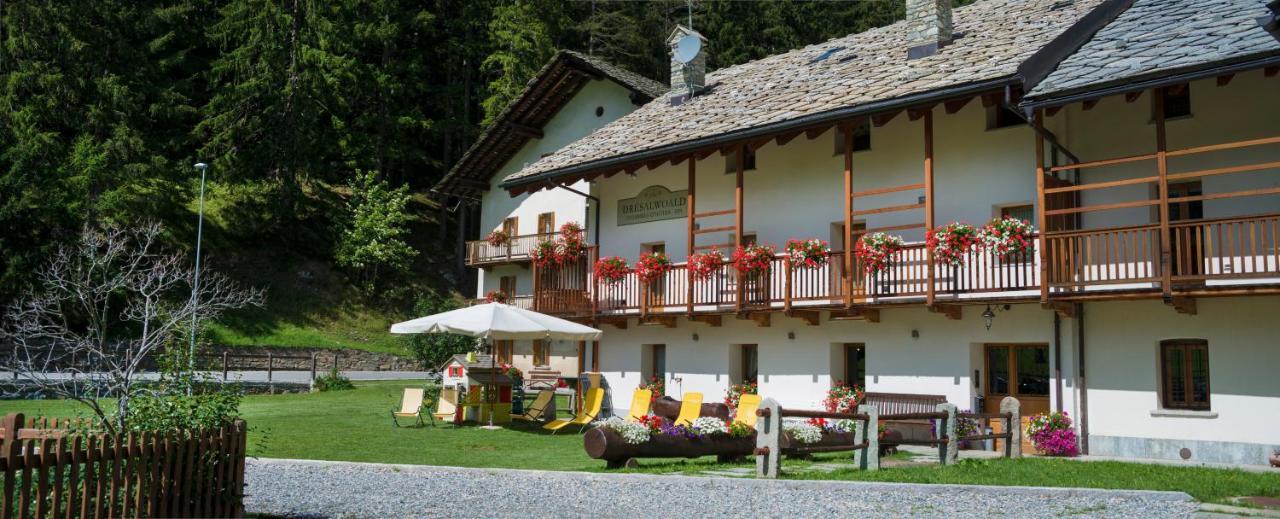 Bed and Breakfast Drésalwoald Gressoney-Saint-Jean Exterior foto